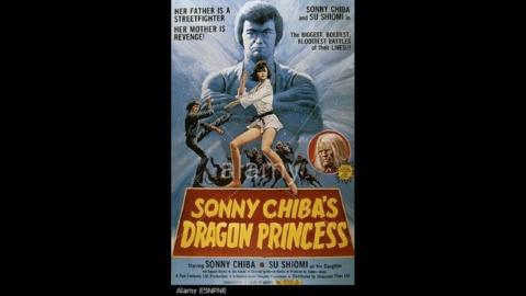 Dragon Princess (1979)