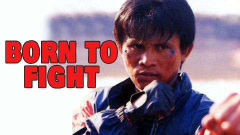 Born to Fight (1984)