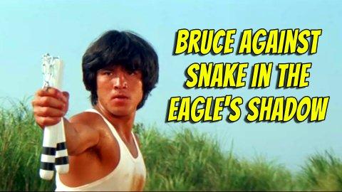 Bruce Against Snake in the Eagle's Shadow (1979)