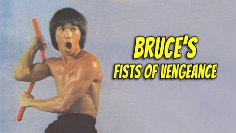 Bruce's Fist of Vengeance (1980)