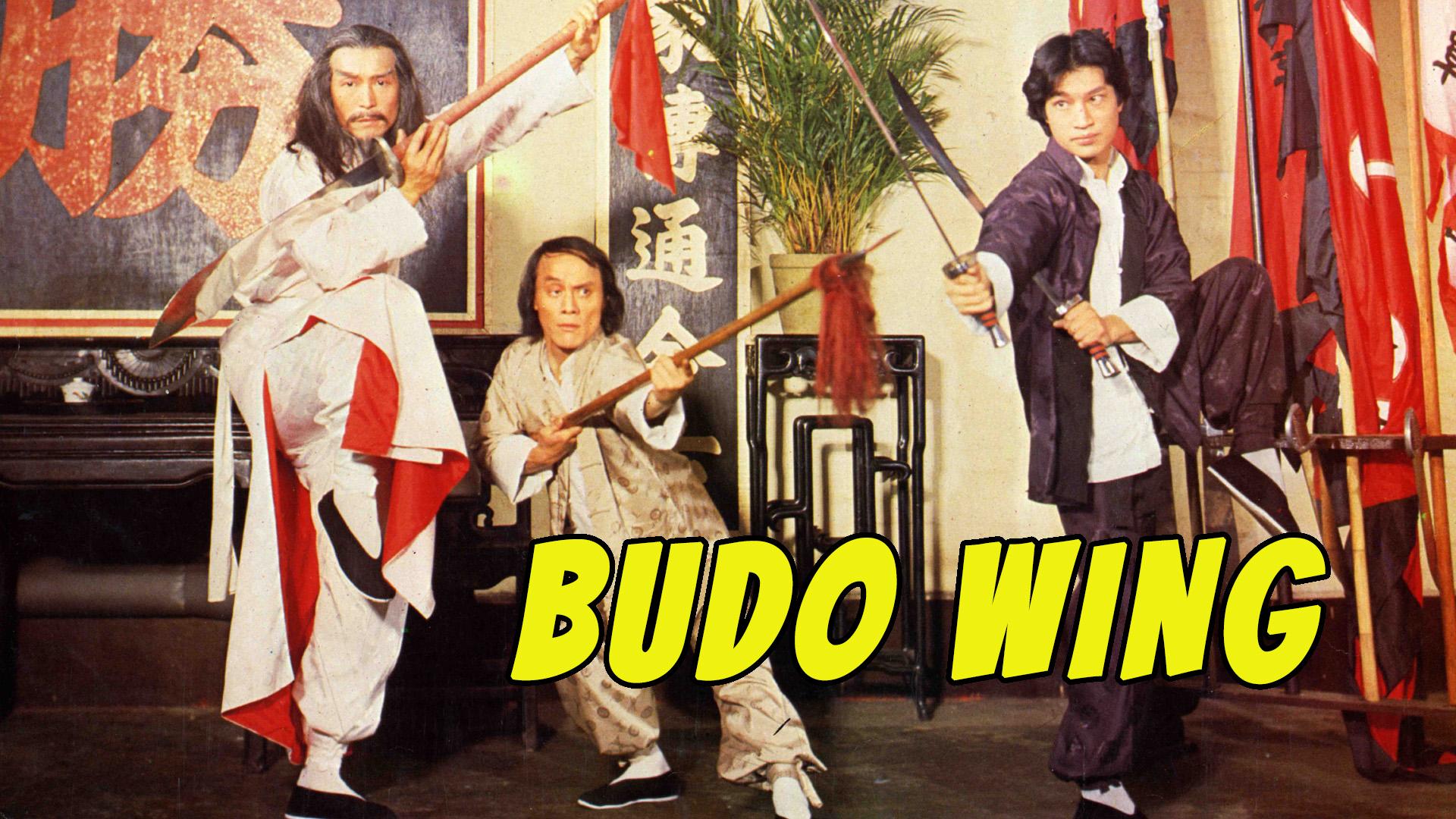 Budo Wing (1979)