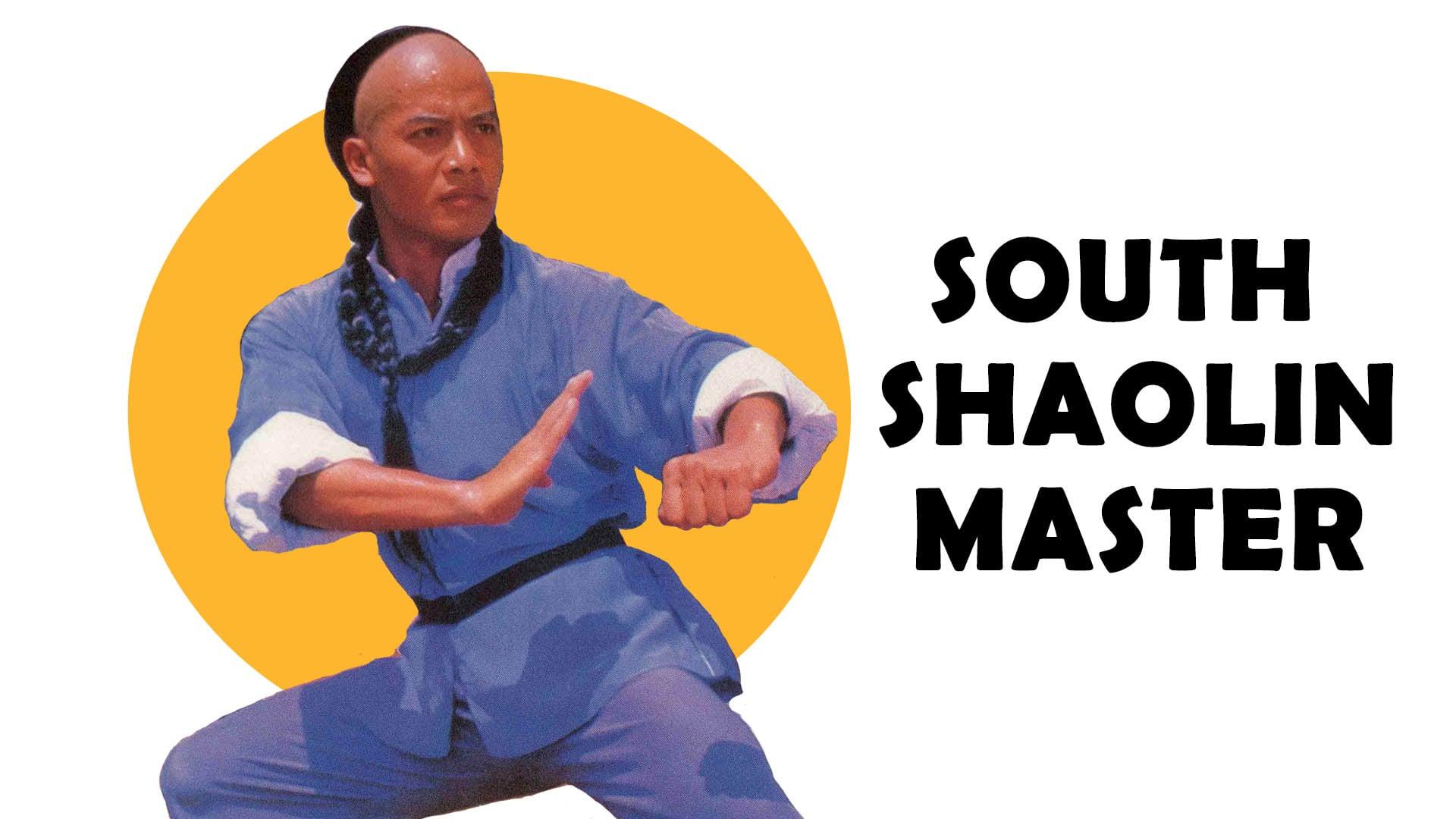 South Shaolin Master (1985)